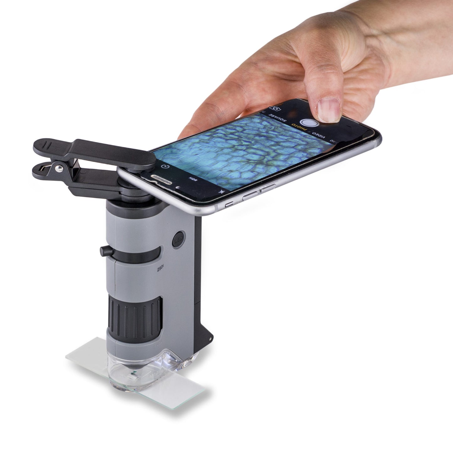 MICROSCOPIO DE BOLSILLO 100-250X  C/CLIP PARA SMARTPHONE CARSON