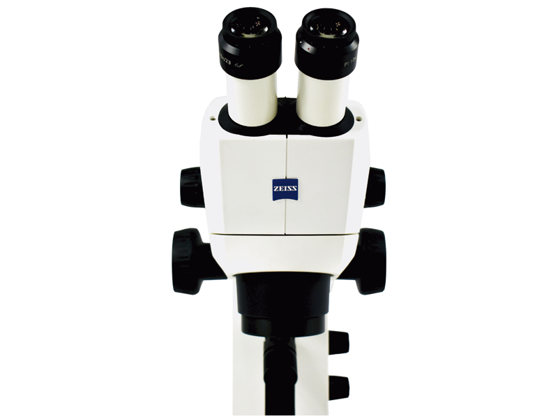 ESTEREOMICROSCOPIO STEMI 305 BINOCULAR CARL ZEISS